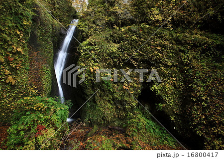 桂の滝 桂の滝 16800417
