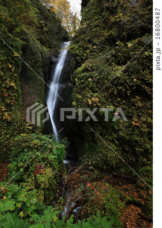 桂の滝 桂の滝 16800487