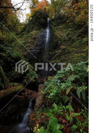 小又川渓谷 小又川渓谷 16800520