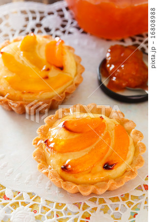 apricot tart apricot tart 16808988