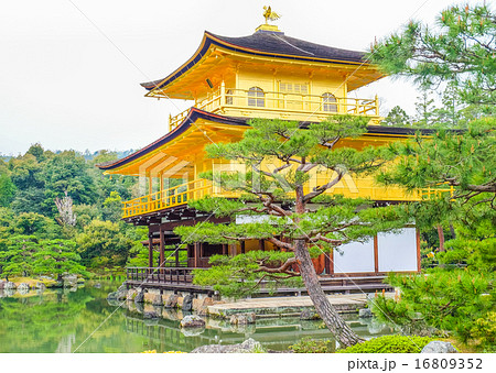 Kinkakuji Temple (The Golden Pavilion) in Kyoto, Japan Kinkakuji Temple (The Golden Pavilion) in Kyoto, Japan 16809352