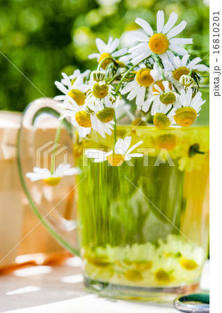 chamomile tea 16810201