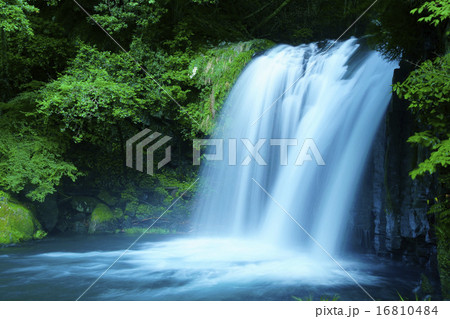 河津七滝(初景滝) 河津七滝(初景滝) 16810484