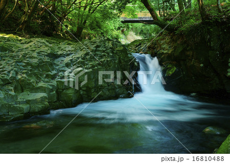 河津七滝(かに滝) 河津七滝(かに滝) 16810488