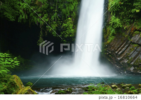 浄蓮の滝 浄蓮の滝 16810664