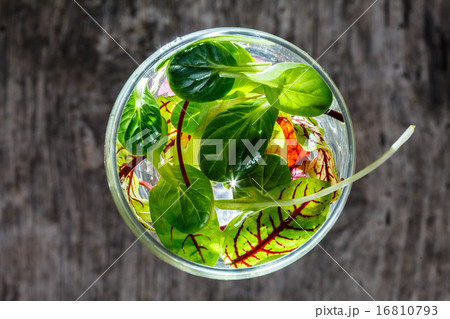fresh salad leaves 16810793