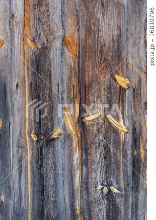 wood background 16810796