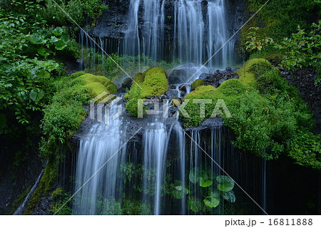 吐龍の滝 吐龍の滝 16811888