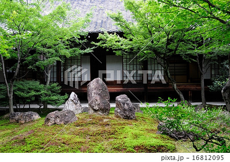 建仁寺庭園 建仁寺庭園 16812095