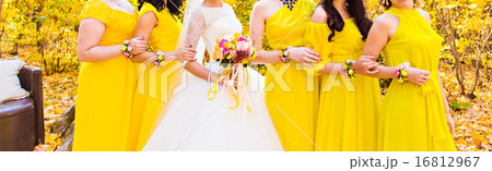 bridesmaids 16812967