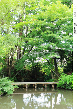 御薬園　2015夏 16813328