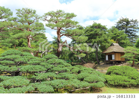 御薬園　2015夏 16813333