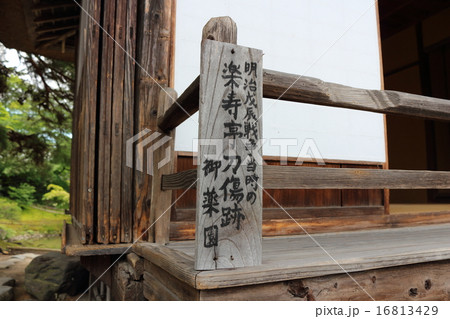 樂壽亭刀傷跡　御薬園　2015夏 16813429