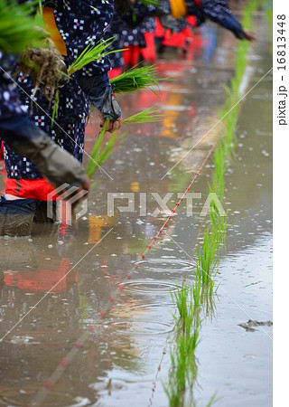 御田祭 御田祭 16813448