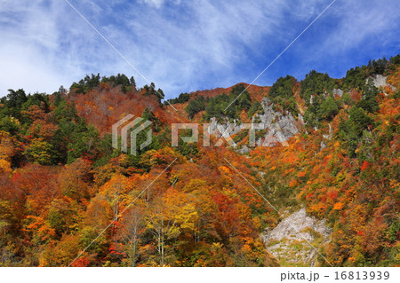 秋雲と秋山郷雑魚川林道の紅葉 16813939