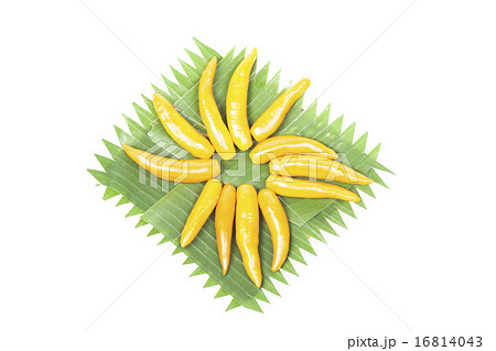 Capsicum on plate Capsicum on plate 16814043
