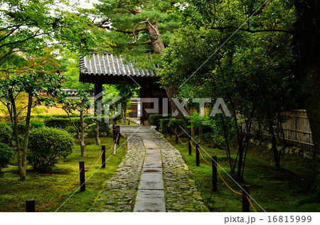 京の鹿王院:石像寺 京の鹿王院:石像寺 16815999