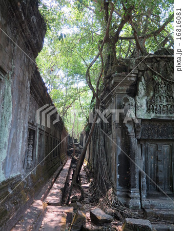 ベンメリア遺跡ベンメリア遺跡 ベンメリア遺跡ベンメリア遺跡 16816081