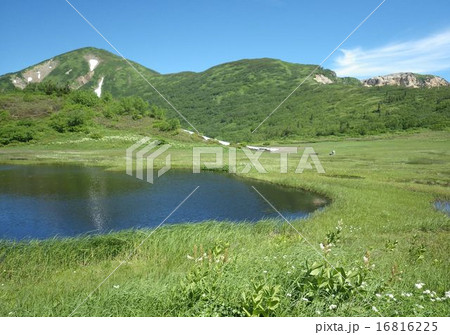 火打山 16816225