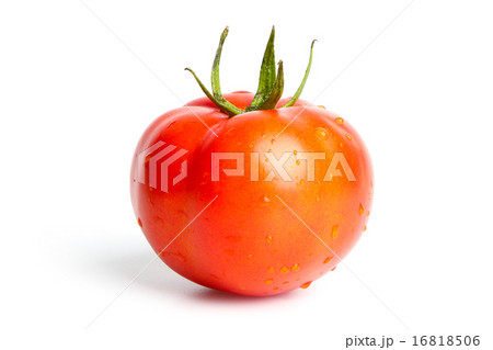 Tomato Tomato 16818506