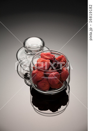 梅干し 飛騨高山産 16819182