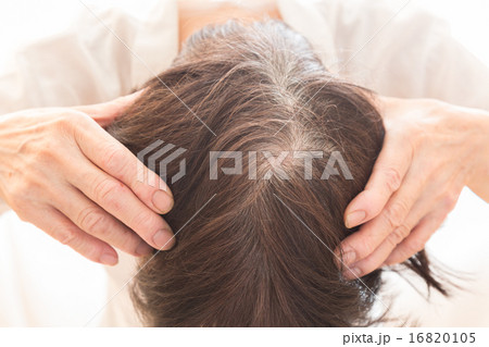 シニアの頭皮 16820105