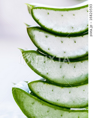Fresh stacked aloe leaf with water drop. 16820593