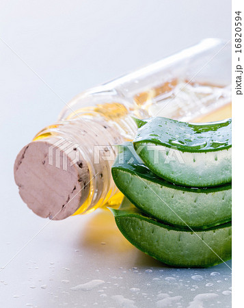 Fresh stacked aloe leaf with water drop . 16820594