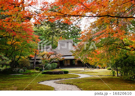 奈良の名園吉城園・紅葉の最盛期（無人） 16820610