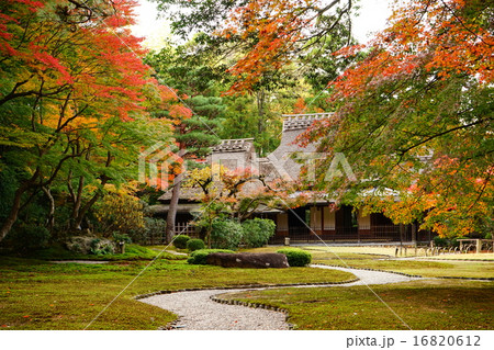 奈良の名園吉城園・紅葉の最盛期(人物版外国人は別途販売中) 奈良の名園吉城園・紅葉の最盛期(人物版外国人は別途販売中) 16820612