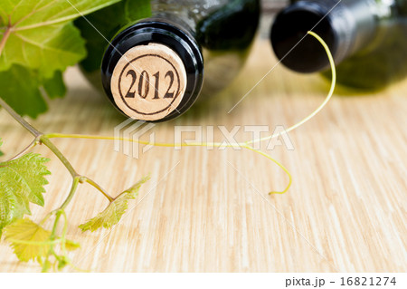 Wine bottle with vine and wine cork . 16821274