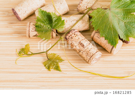 Wine bottle with vine and wine cork. Wine bottle with vine and wine cork. 16821285