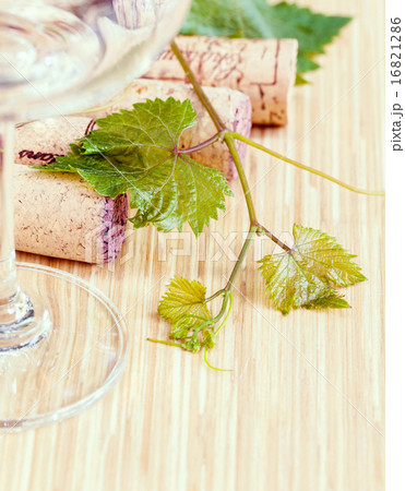 Wine bottle with vine and wine cork. 16821286