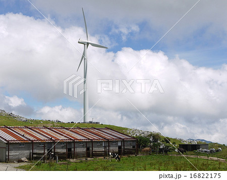 四国カルストの姫鶴平 四国カルストの姫鶴平 16822175