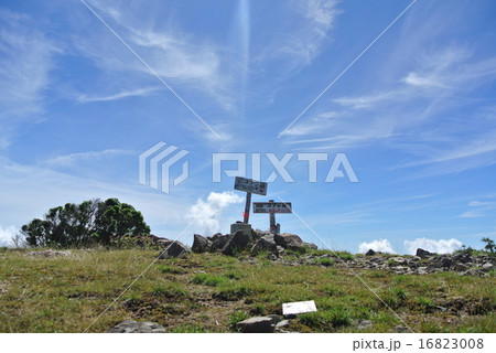大台ケ原 コブシ嶺 大台ケ原 コブシ嶺 16823008