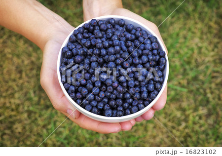 Girl holding a bowl of blueberries 16823102