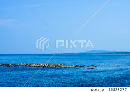 夏の日之出岬　（雄武町） 16823277