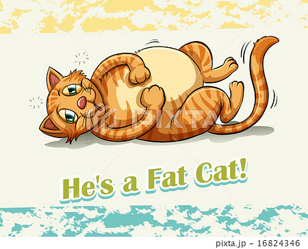 Fat Catのイラスト素材