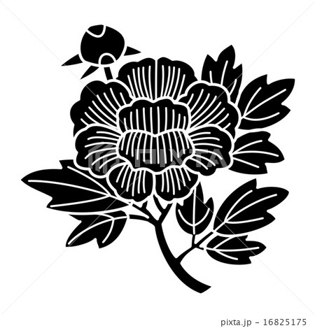 北方一揆　田能村氏 16825175