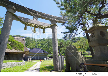 新潟県　糸魚川市能生　能生白山神社　二の鳥居より境内をのぞむ 16825682