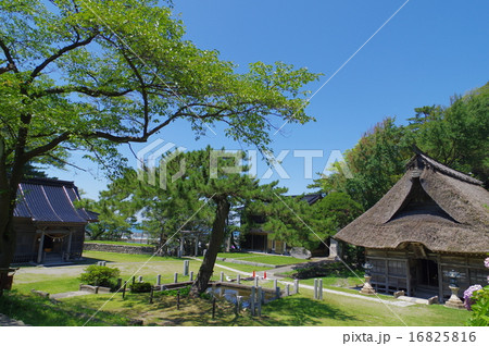 新潟県　糸魚川市能生　能生白山神社　境内風景 16825816