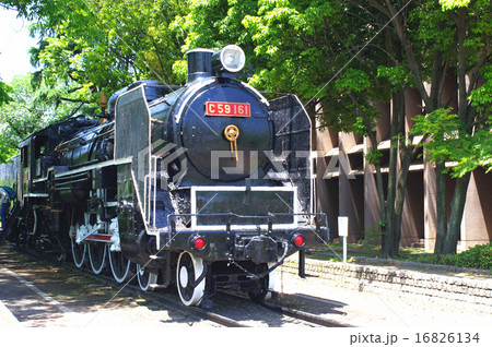 広島中央公園の蒸気機関車 16826134