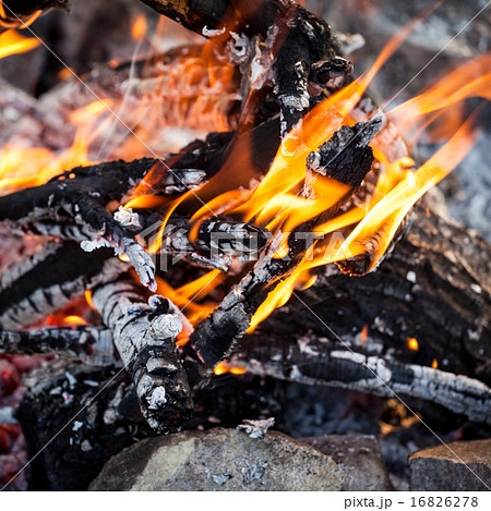 Bonfire in the spring forest. coals of fire 16826278
