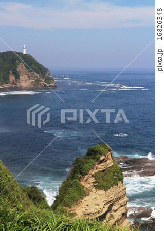 千葉県勝浦市の海岸 16826348