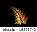 フラクタル　デザイン 16826742