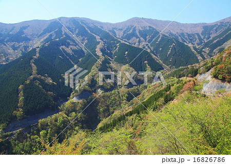 行者還岳からの春 行者還岳からの春 16826786