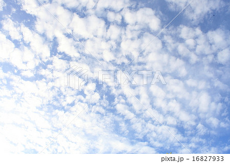 うろこ雲の画像 16827933