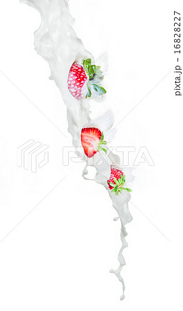 Strawberry falling into milk splashing.  16828227