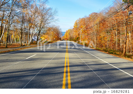 Autumn scene with road 16829281
