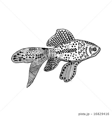 金魚　イラスト　絵画 金魚 イラスト イラスト素材／無料イラスト - Lovepik.com